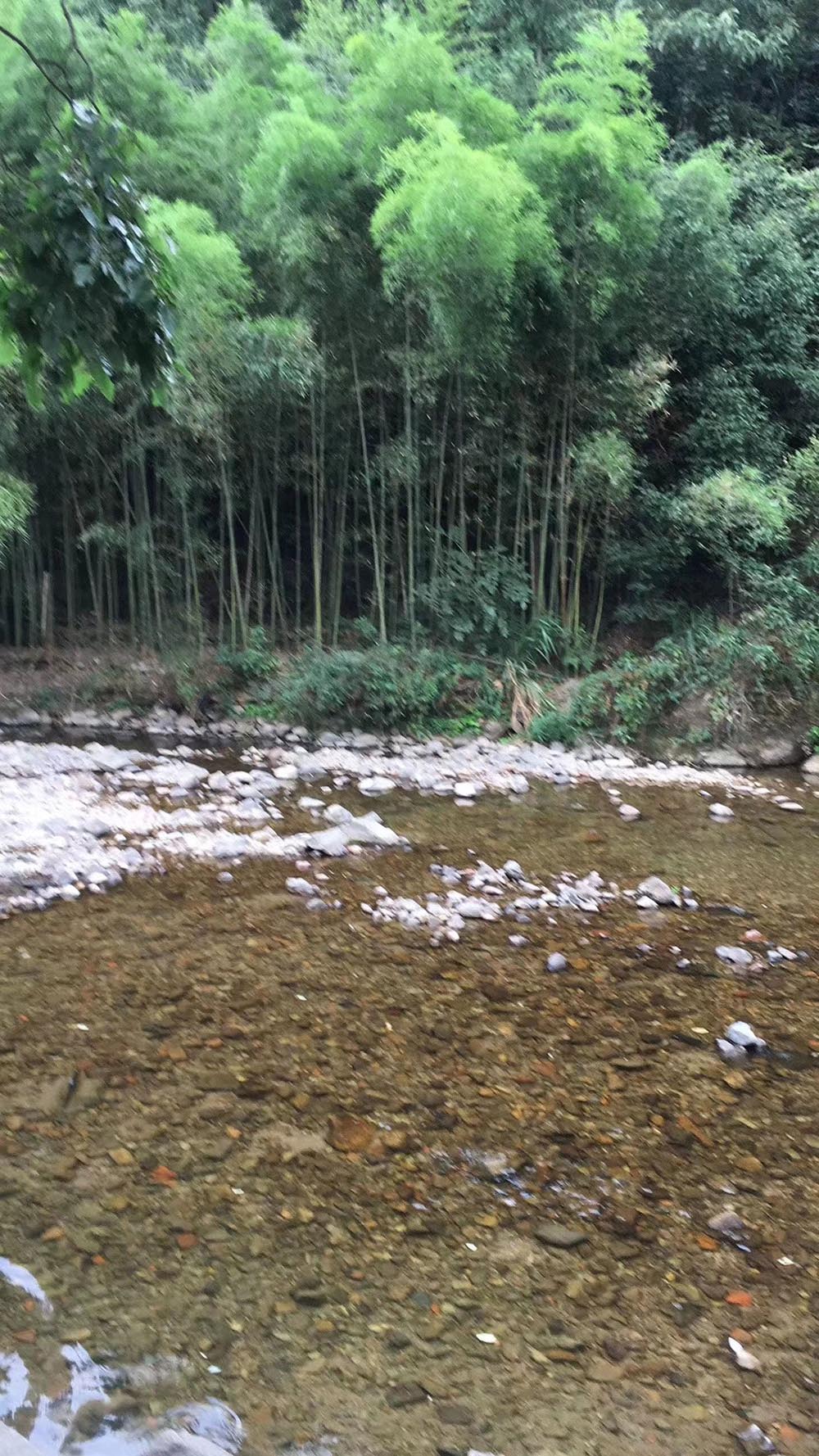 金華市海納鑫隆汽車(chē)内飾件有限公司團建活動之水庫遊